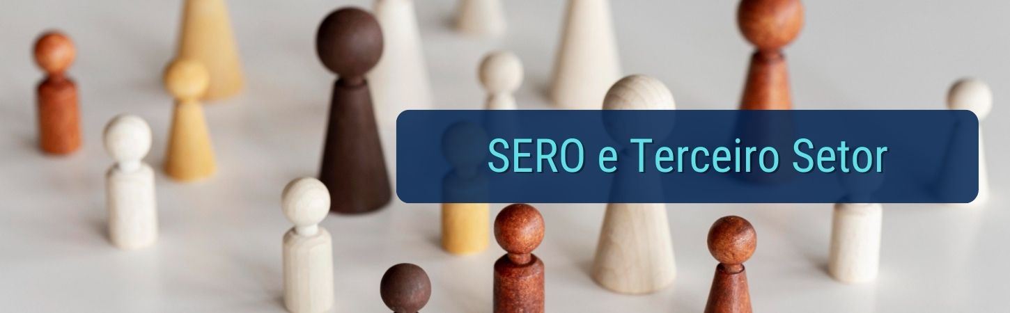 SERO e Terceiro Setor